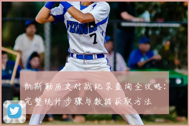 凯斯勒历史对战纪录查询全攻略：完整统计步骤与数据获取方法