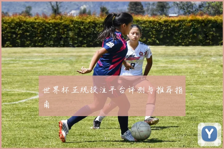 世界杯正规投注平台评测与推荐指南